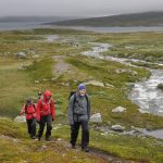 Fra majestetiske Sylan til Norges helligsted