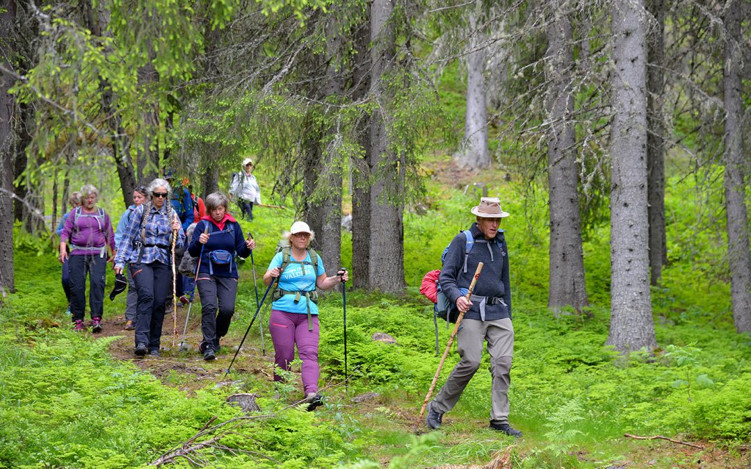 Pilegrim i Valdres 2020