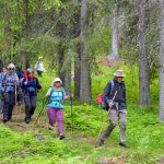 Pilegrim i Valdres 2026
