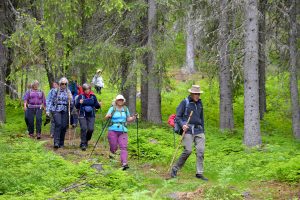Pilegrimsvandring i Valdres