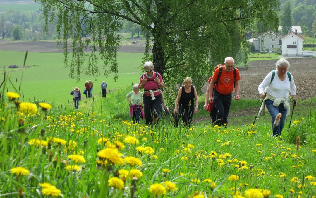 Fellestur til Vadstena 2018