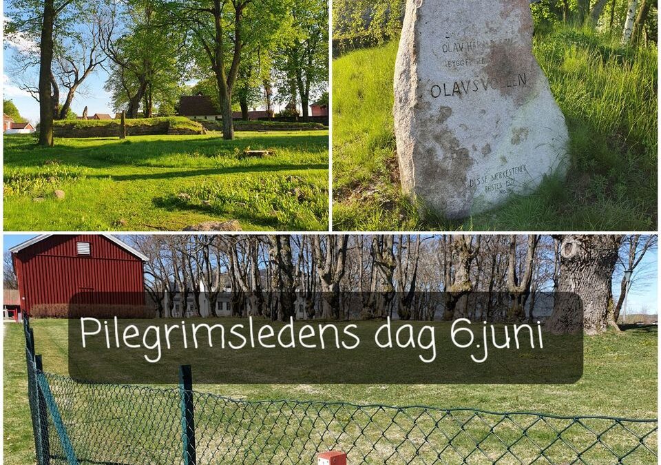 Pilegrimsledens dag