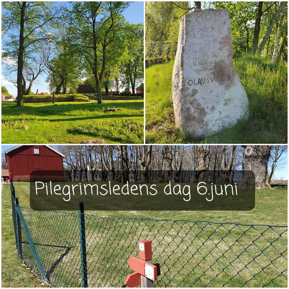 Pilegrimsledens dag i Sarpsborg
