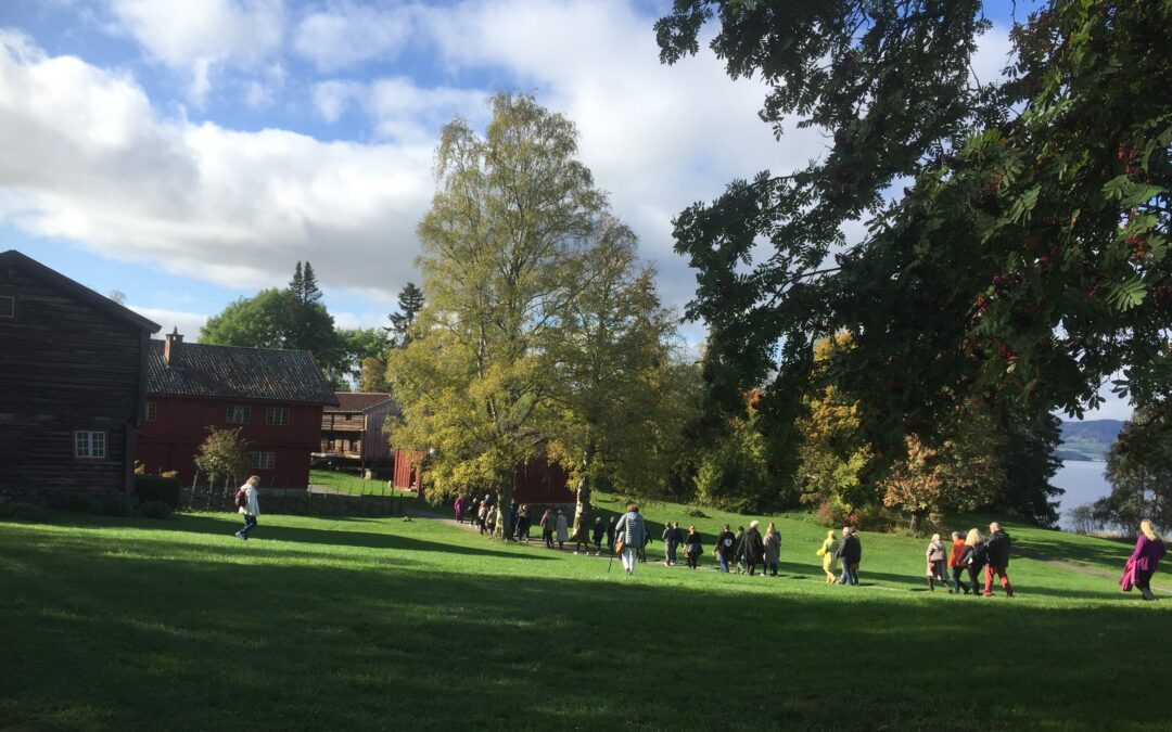 Vandring på Domkirkeodden, Hamar