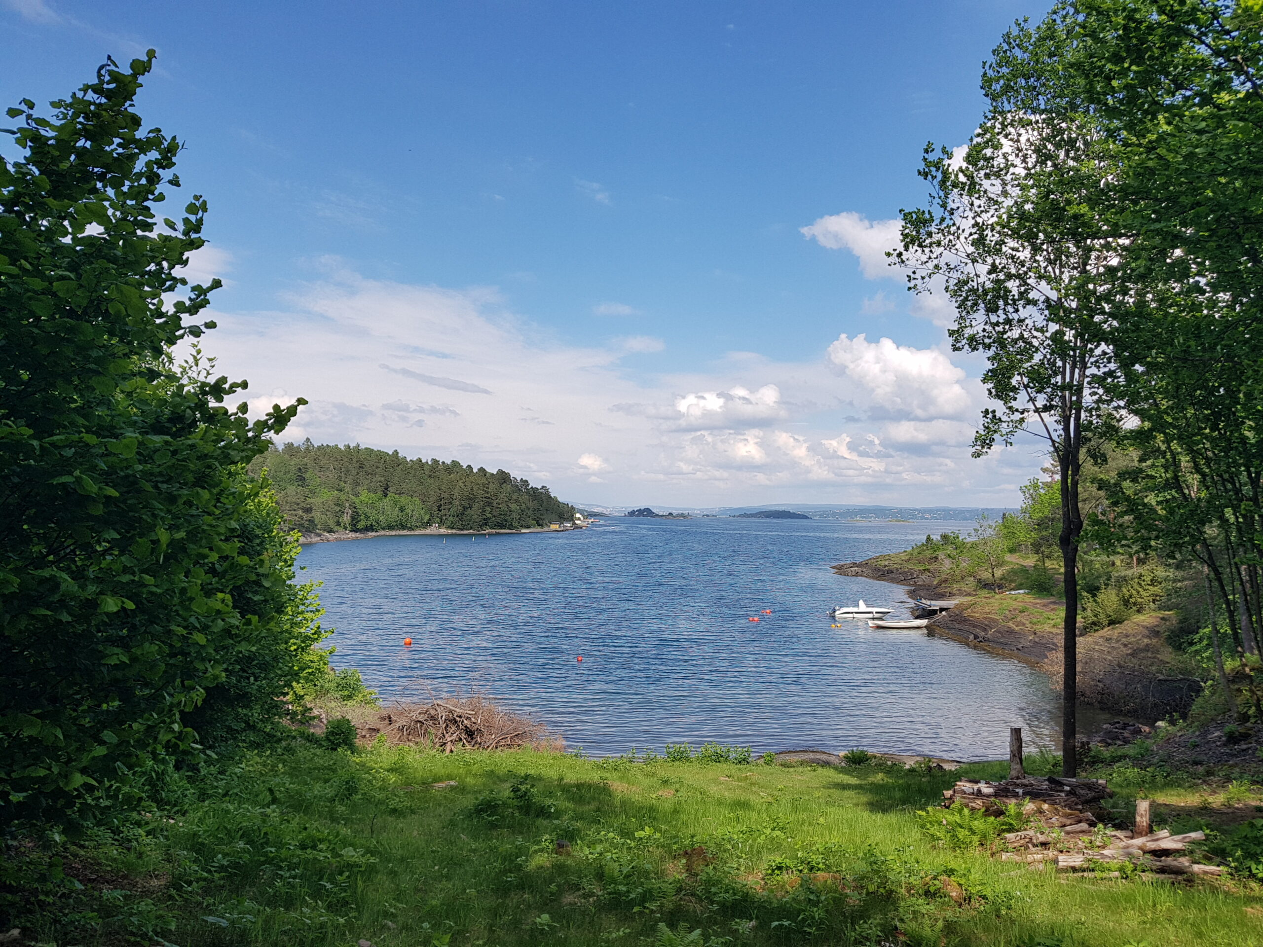 Lørdagsvandring til Munkedammen og langs kysten i Asker