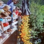 Pilegrimsforeningas andeløp på Voll i Rennebu
