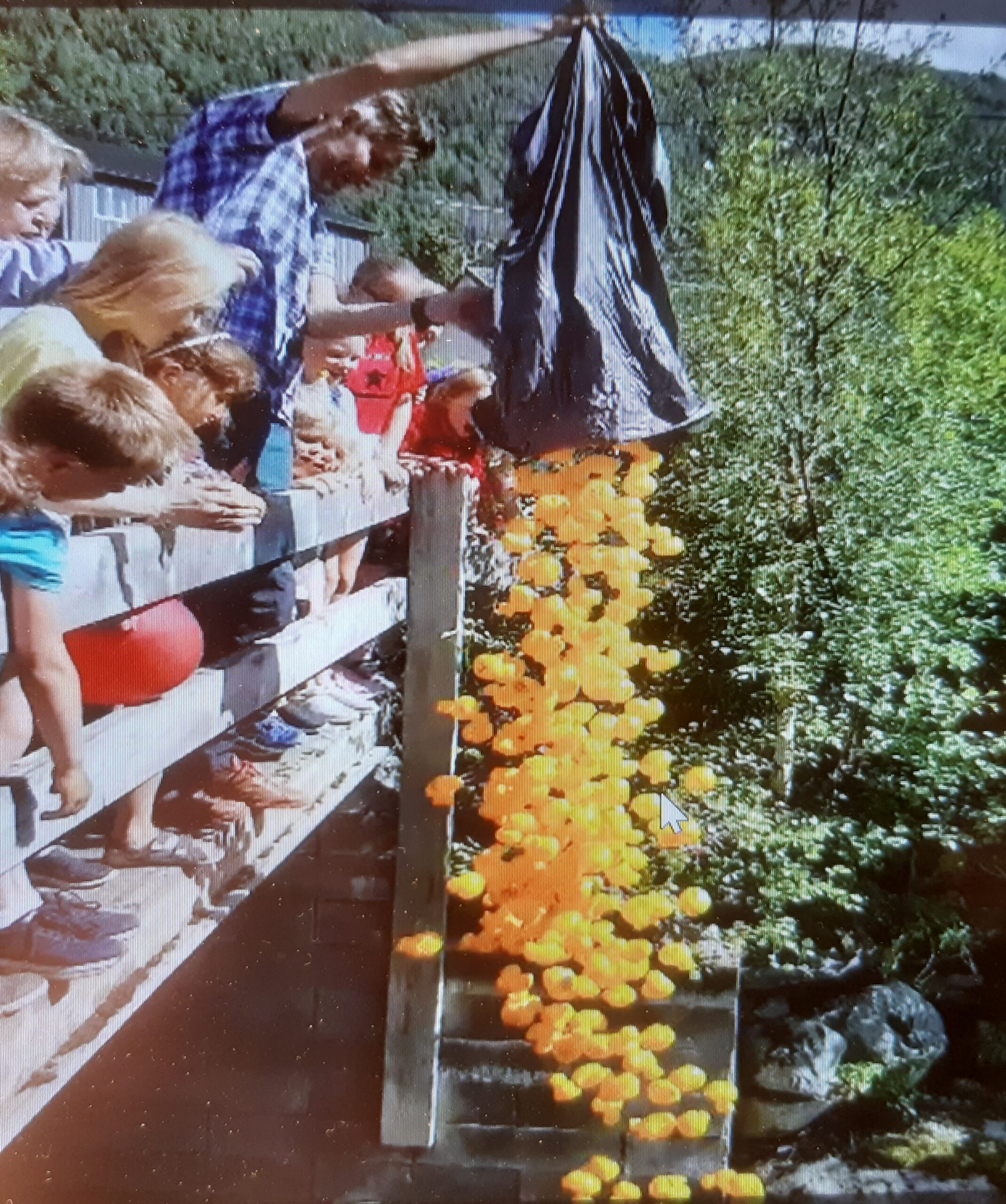 Pilegrimsforeningas andeløp på Voll i Rennebu