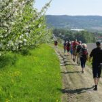 Ny guidebok for Tunsbergleden. Boklansering