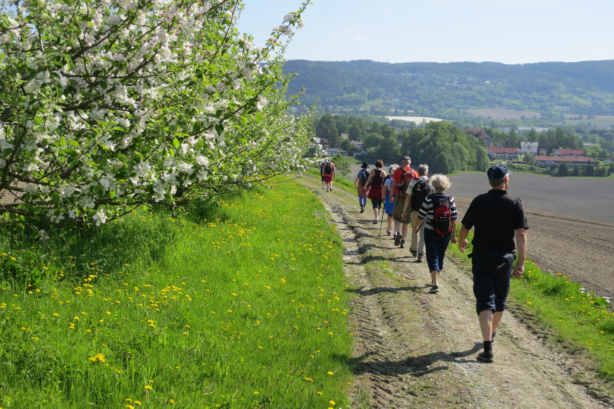 Ny guidebok for Tunsbergleden. Boklansering